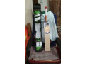 ss-master-2000-cricket-bat-small-2