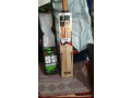 ss-master-2000-cricket-bat-small-0