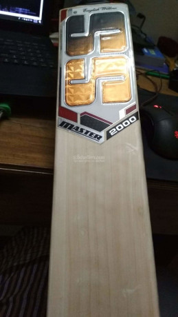 ss-master-2000-cricket-bat-big-1