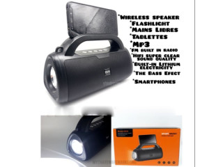 Sport Wireless Speaker E816 With Outdoor Flashlight