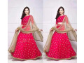 gorjet-lehenga-small-0