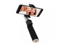 rp-p4-wireless-bluetooth-selfie-stick-small-0