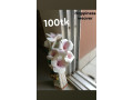 flower-vase-stick-small-1