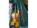 violin-small-0