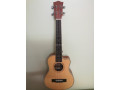 ukulele-small-0