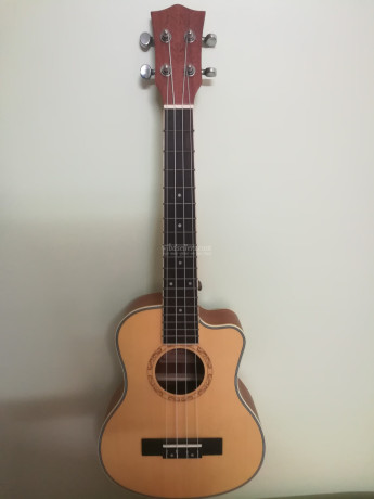 ukulele-big-0