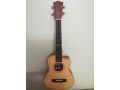 ukulele-small-0