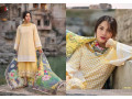 deepsy-eidi-pakistani-suits-800-602-ssodescription-small-0