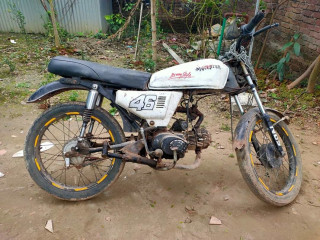 Walton leo 80cc