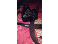 canon-600d-with-kit-lence-small-1