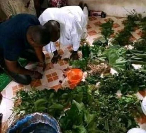 best-powerful-spiritual-herbalist-and-native-doctor-and-spell-caster-big-1