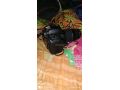sell-a-camera-small-2