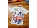 t-shirts-export-quality-small-1