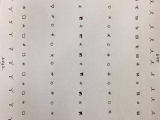 rajshahi-20-katha-mango-lychee-garden-275-crore