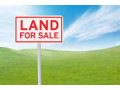 52-bigha-land-for-sale-small-3