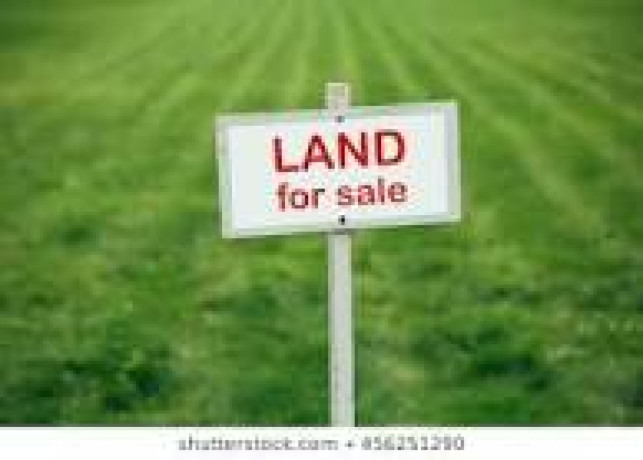 52-bigha-land-for-sale-big-1