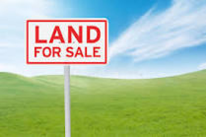 52-bigha-land-for-sale-big-3