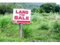 52-bigha-land-for-sale-small-2