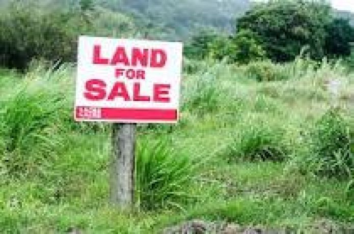52-bigha-land-for-sale-big-2