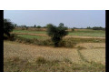 52-bigha-land-for-sale-small-3