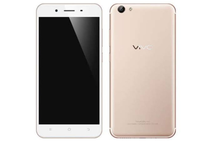 vivo-mobile-phone-big-1