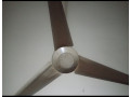 fan-fzn-small-0