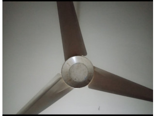 Fan ফ্যন