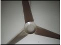 fan-fzn-small-0
