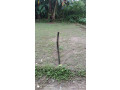 4-shotok-land-for-sale-small-2