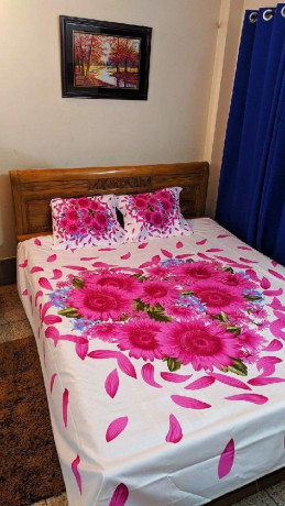 deshi-cotton-king-size-panel-bedsheet-38-big-3