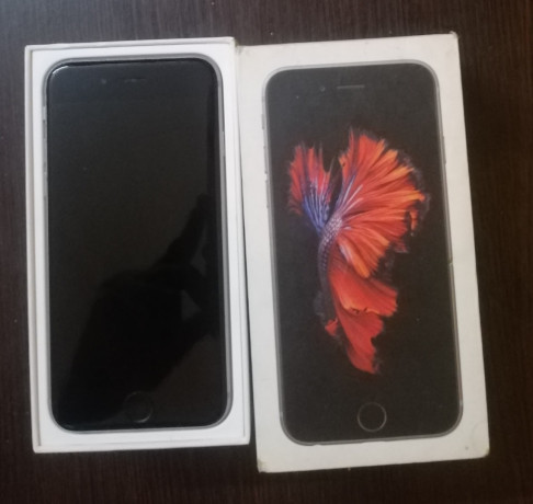 apple-iphone-6s-gevey-with-box-big-0