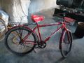 bicycale-small-0