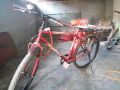 bicycale-small-3