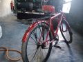 bicycale-small-1