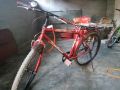 bicycale-small-2