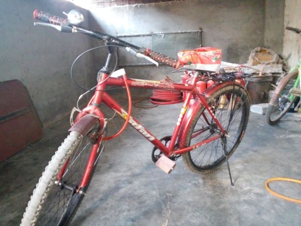 bicycale-big-3