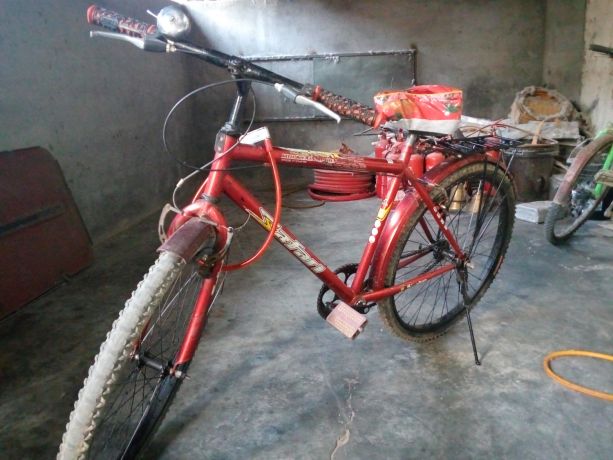 bicycale-big-2