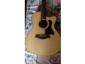 chard-acoustic-guitar-with-alice-equalizer-small-1