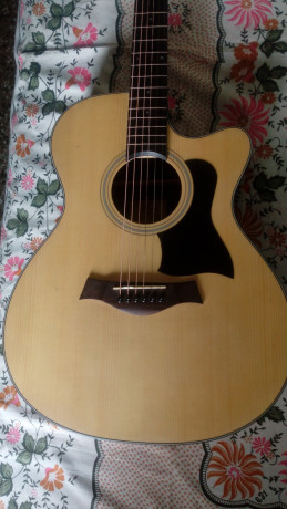 chard-acoustic-guitar-with-alice-equalizer-big-1