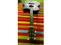 signature-guitar-small-4