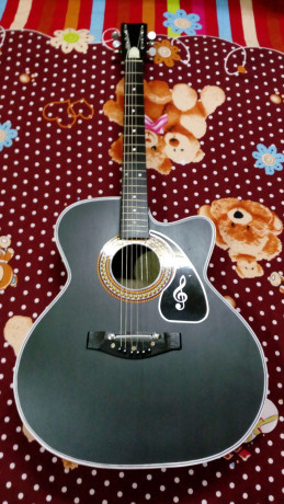 signature-guitar-big-1