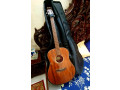 breedlove-small-2