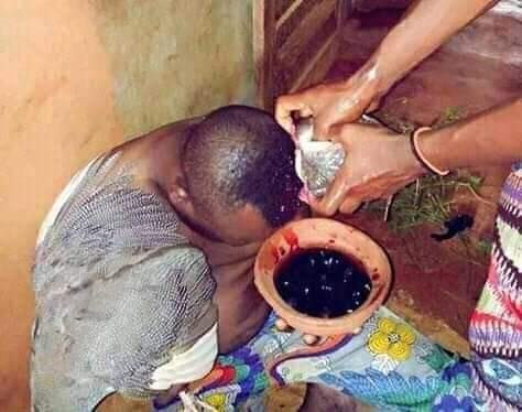 chief-oluawo-awoniyi-of-ijebu-the-greatest-herbalist-man-in-ijebu-land-big-2