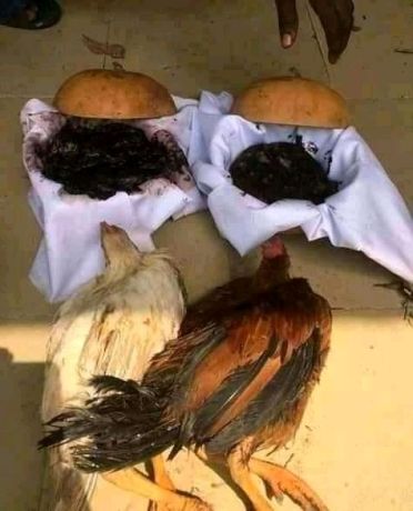 the-best-powerful-native-doctor-in-nigeria-big-4