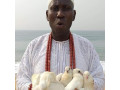 the-best-powerful-spiritual-herbalist-man-in-nigeria-small-0