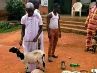 the-best-powerful-spiritual-native-doctor-in-nigeria