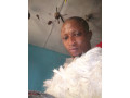 the-most-best-powerful-spiritual-herbalist-in-nigeria-small-3