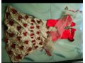 dress-small-0