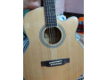 tgm-guitar-small-1