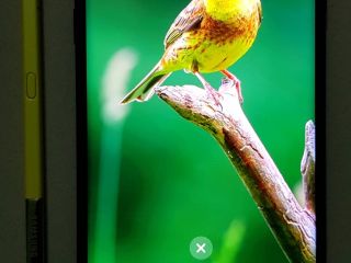 samsung-note-9